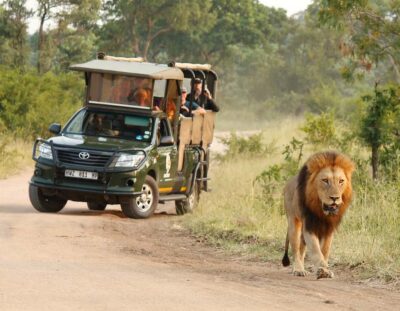 Full-Day Private Safari With Pickup