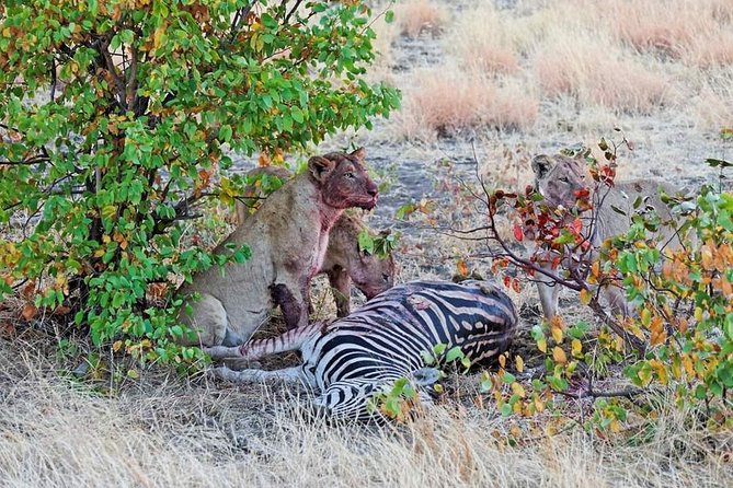 Kruger National Park Full Day Tour Minimum 2people - Breakfast, lunch, and the limits of the schedule