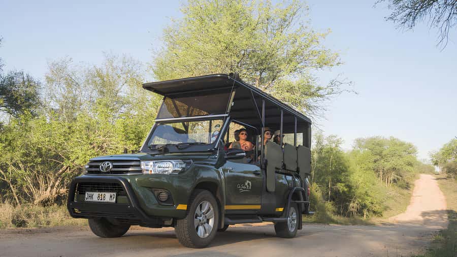 Kruger National Park Game Drive (Half-Day PM) - An afternoon inside Kruger National Park