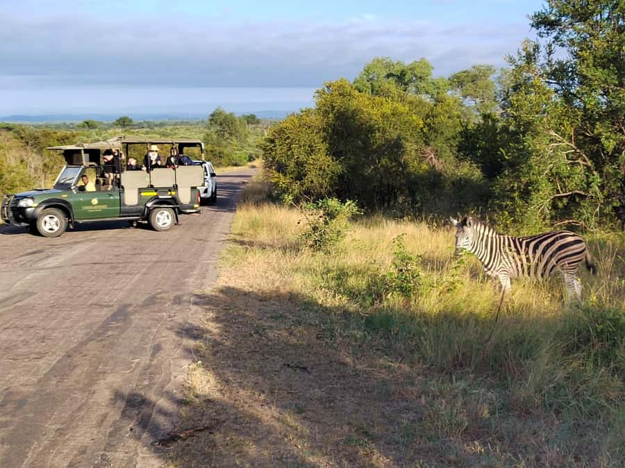 Kruger National Park half day - A practical breakfast pause at midmorning