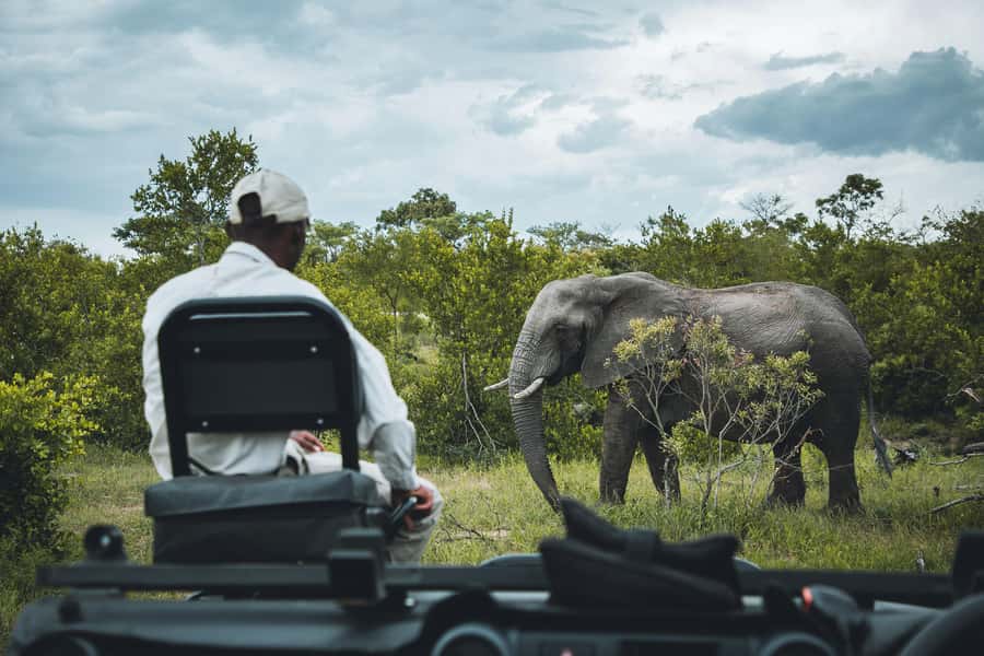 Kruger National Park half day - What the $44 price really covers