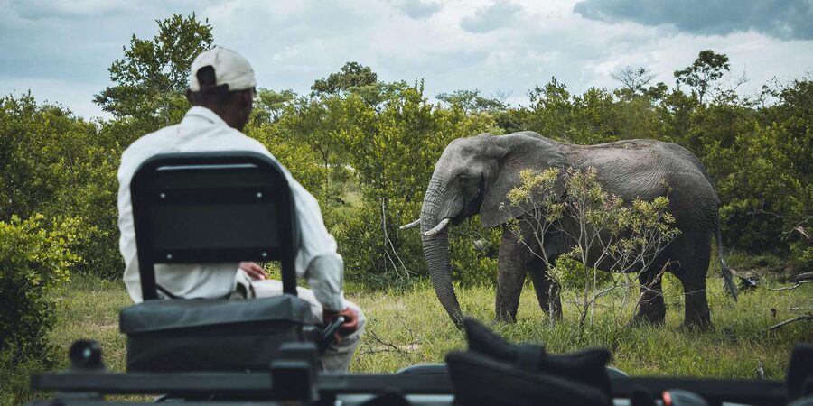 Kruger National Park half day - Comfort, vehicle condition, and group size