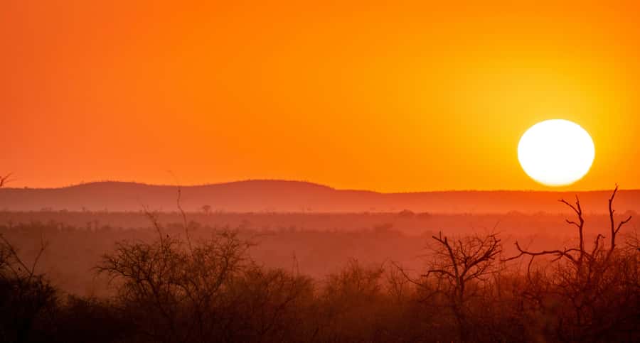 Kruger National Park half day - Guides, communication, and the human side