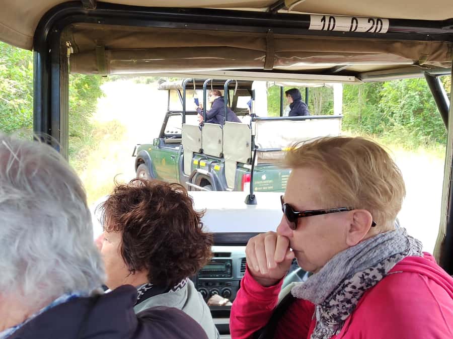 Kruger National Park half day - The first wildlife search inside Kruger