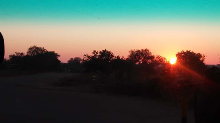 Kruger National Park Morning Safari - Who will get the most from this safari
