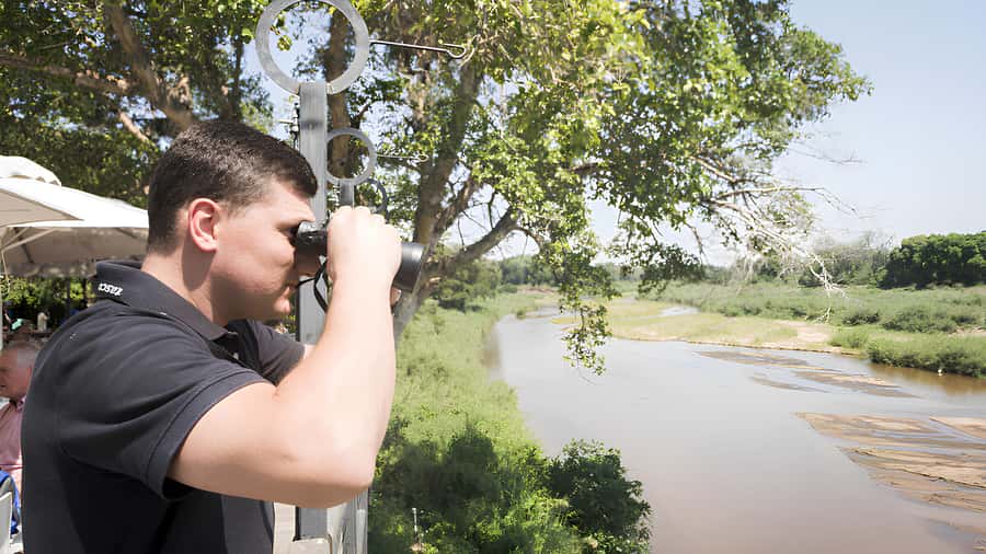 Kruger National Park Safari (Full Day) - What the field guide adds