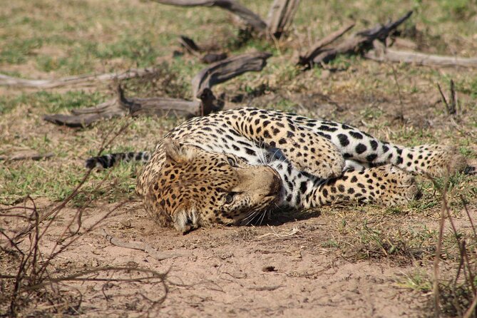 Kruger National Park, Safari Game Drive. - What the $103.89 price covers