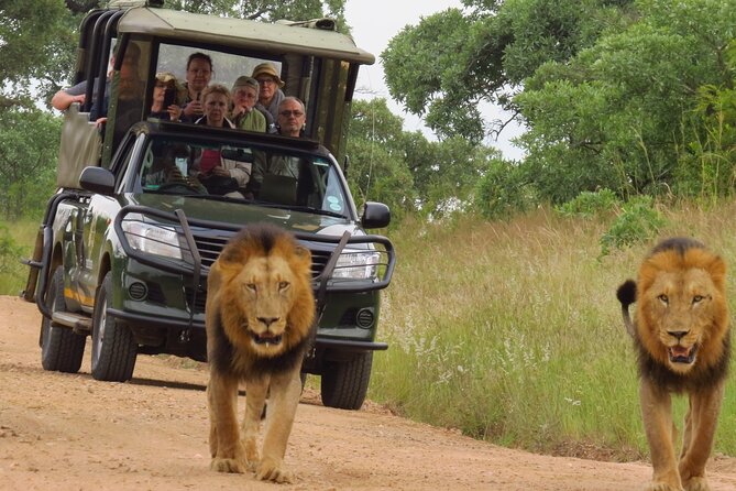 Kruger National Park sunrise Morning Private safari - Entering Kruger when the gates open