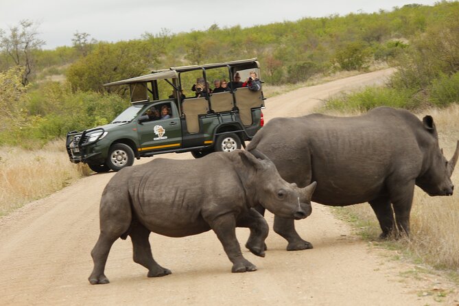 Kruger National Park sunrise Morning Private safari - Who will enjoy this morning most?