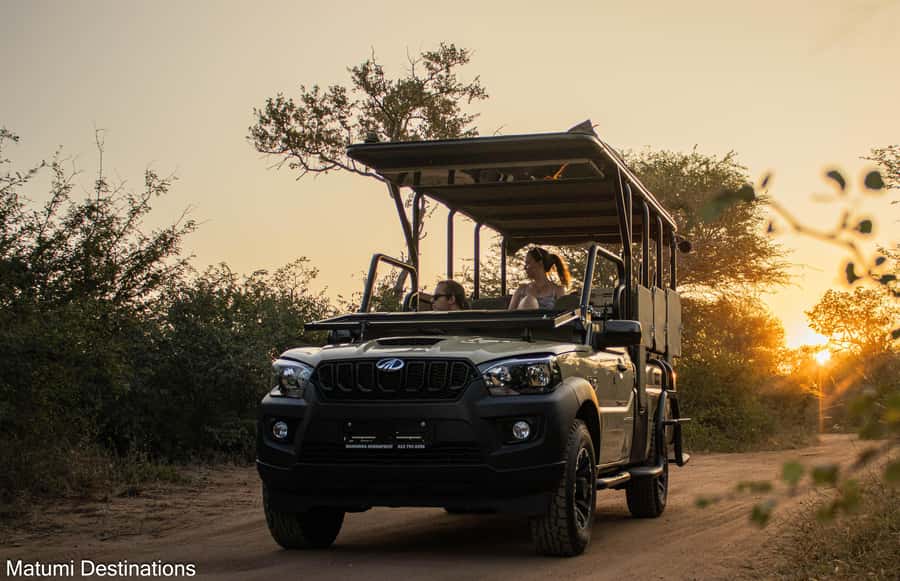 Kruger Park Full Day Safari From Hoedspruit - Why a full day in Kruger matters