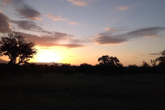 Kruger Park Safari: Guided Day Tour from Nelspruit - The guides shape the experience