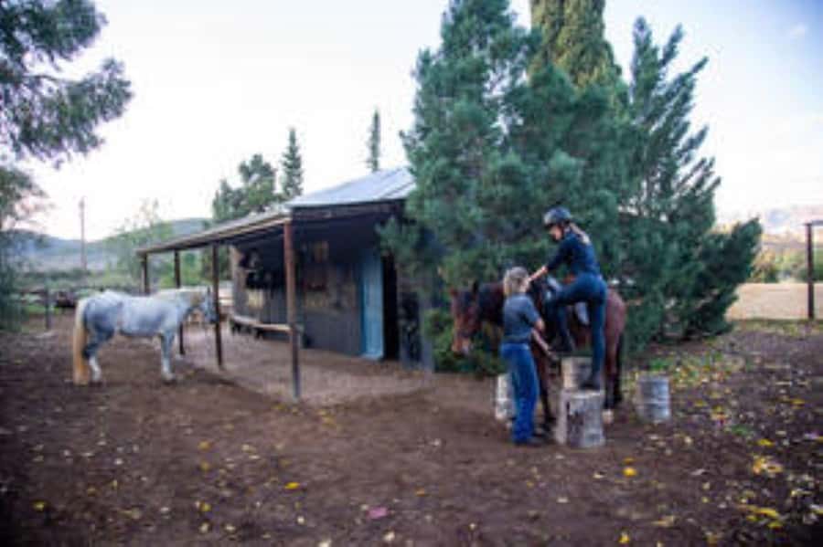 Kudu Trail Horse Riding Experience - Kudu Trail at a glance