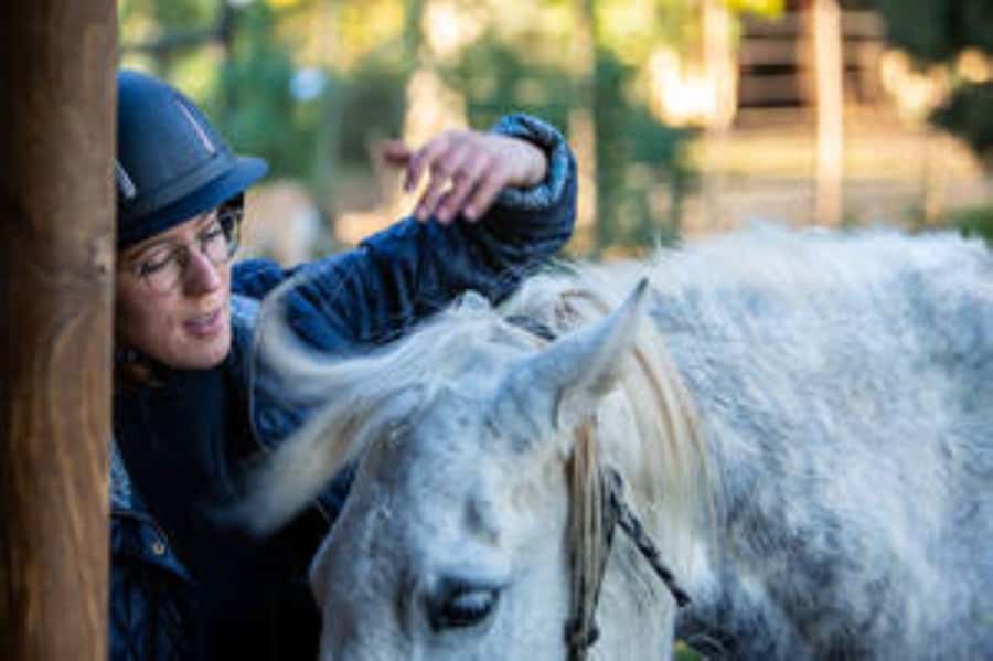 Kudu Trail Horse Riding Experience - What the 90-minute route feels like