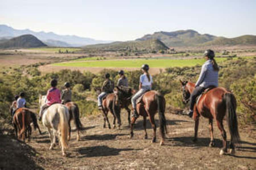 Kudu Trail Horse Riding Experience - Choosing and meeting your horse
