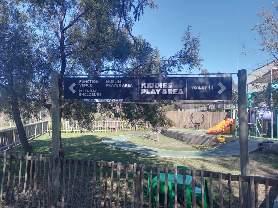 Lion park - Who should book this safari