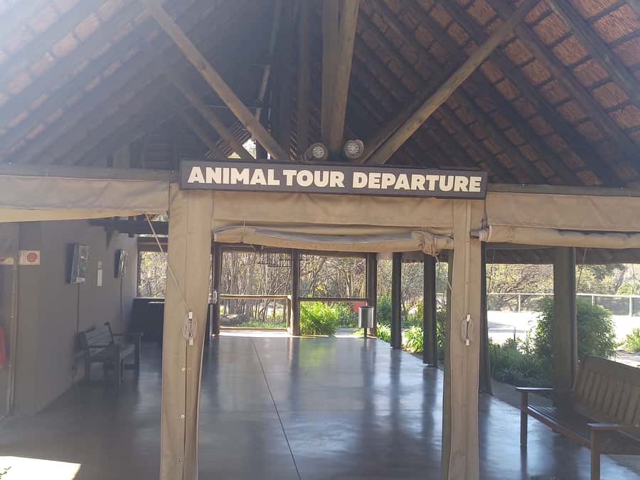 Lion park - What this lion park day actually offers