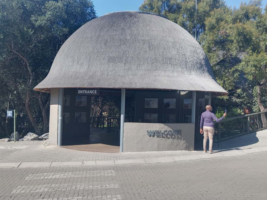 Lion park - Driving through the lion, cheetah, and wild dog areas