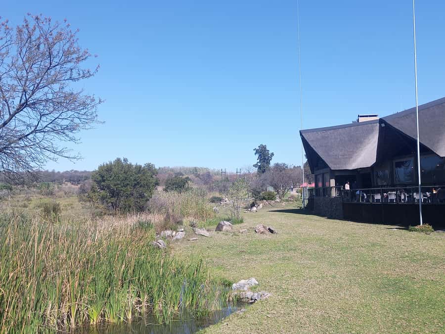 Lion park - Security and what to bring