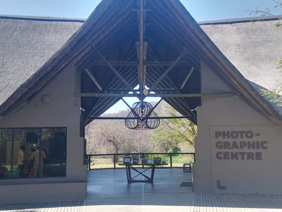 Lion park - The morning pickup from five city areas
