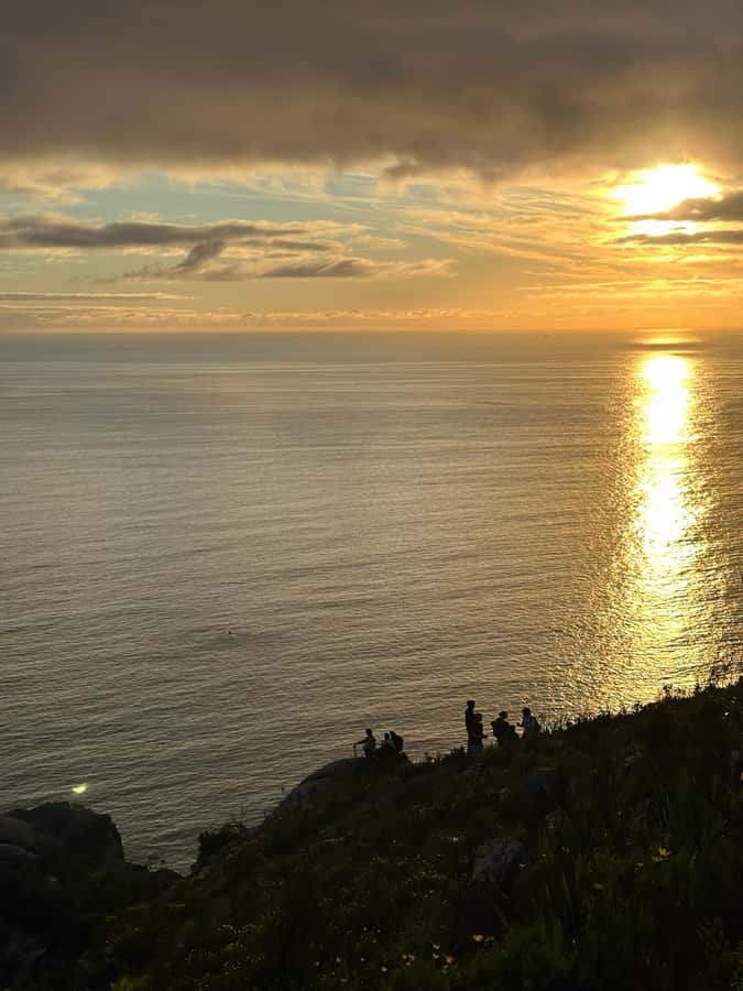 Lion's Head Hike: Cape Town - Sunrise or Sunset Hike - Local stories, fynbos, and Cape Town’s character