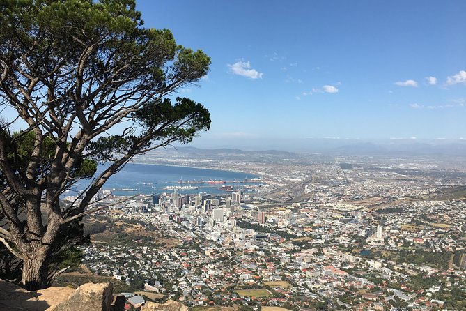 Lion's Head Hike - Private Tour - Three hours with useful comforts included