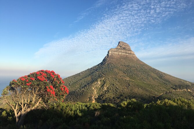 Lion's Head Hike-sunrise/sunset with professional private guide - Key points at a glance