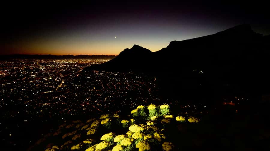 Lion's Head Sunrise or Sunset Hike + Hotel Pick-Up - Chains and ladders near the upper trail