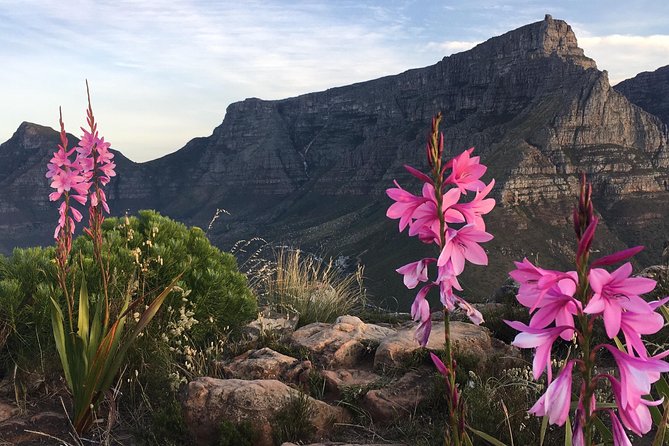 Lion's Head Sunset Hike in Cape Town - Why Lion’s Head makes such a good sunset hike