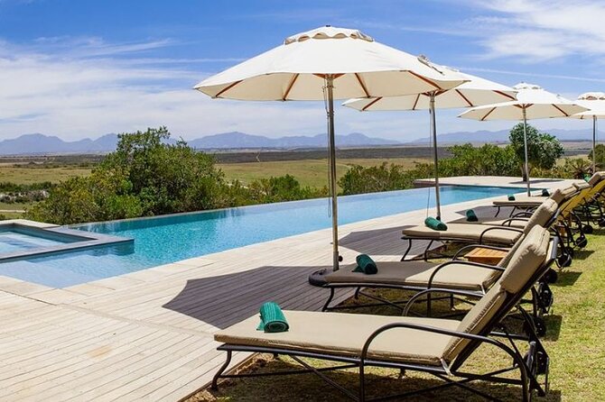 Luxury 2-Day In & Out Garden Route Safari Tour - An early sunrise drive gives you another chance