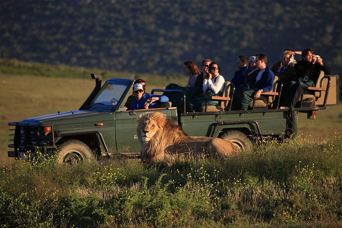 Luxury 2-Day In & Out Garden Route Safari Tour - Cape Agulhas marks the southern end of the trip