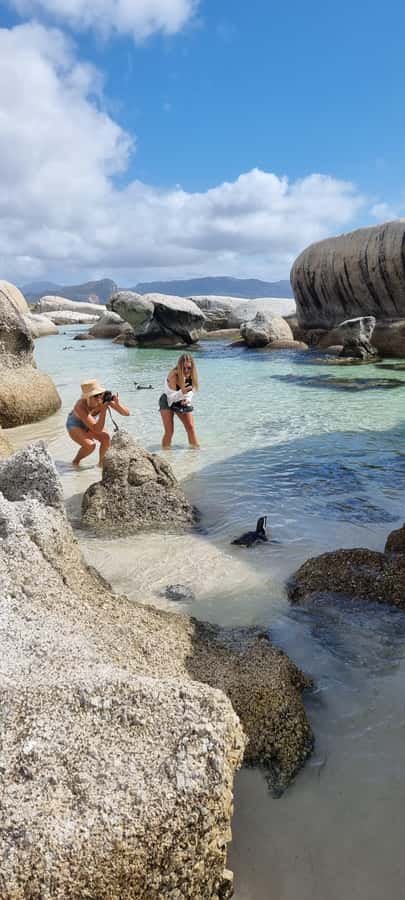 Luxury Cape of Good Hope & Penguin Tour - A seven-hour circle around the Cape Peninsula
