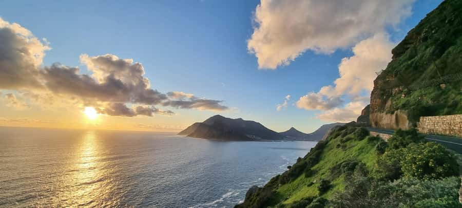 Luxury Cape of Good Hope & Penguin Tour - Boulders Penguin Colony is the most distinctive stop