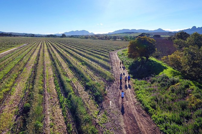 Luxury Wine Tour with Lunch - Cheetah Outreach adds a different kind of local story