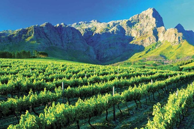 Luxury Wine Tour with Lunch - Paarl begins with wine, cheese, and a relaxed introduction