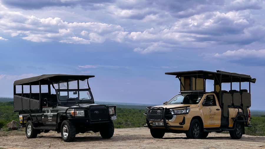 Malelane & Komtipoort: Kruger National Park Full-Day Safari - Why this Kruger day trip works from Malelane and Komatipoort