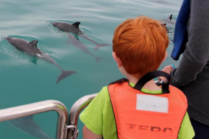Marine Big 5 Safari full day trip from Cape Town - Seasickness, clothing, and physical demands