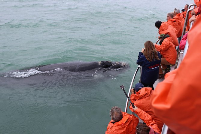 Marine Big 5 Safari: Self-Drive - The Great White House meal and facilities