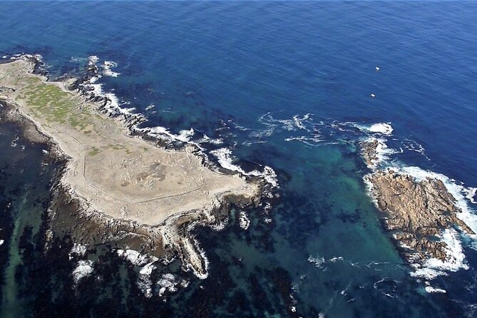 Marine Big 5 Safari with transport from Cape Town - The long road from Cape Town to Gansbaai