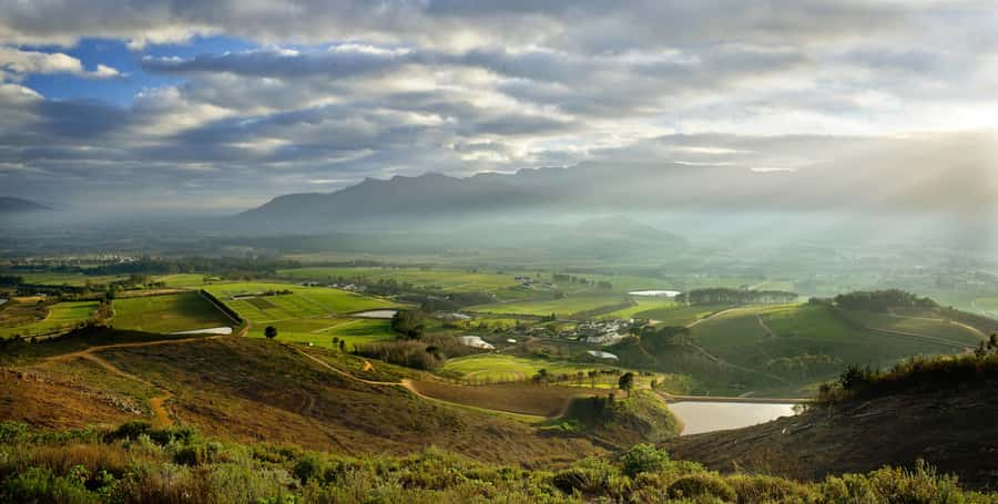 Marine Eco Cruise and Half-Day Wine Route with Tastings - Wine tasting, cellar visit, and cheese
