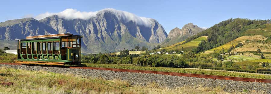 Marine Eco Cruise and Half-Day Wine Route with Tastings - Should you book the Marine Eco Cruise and Half-Day Wine Route?