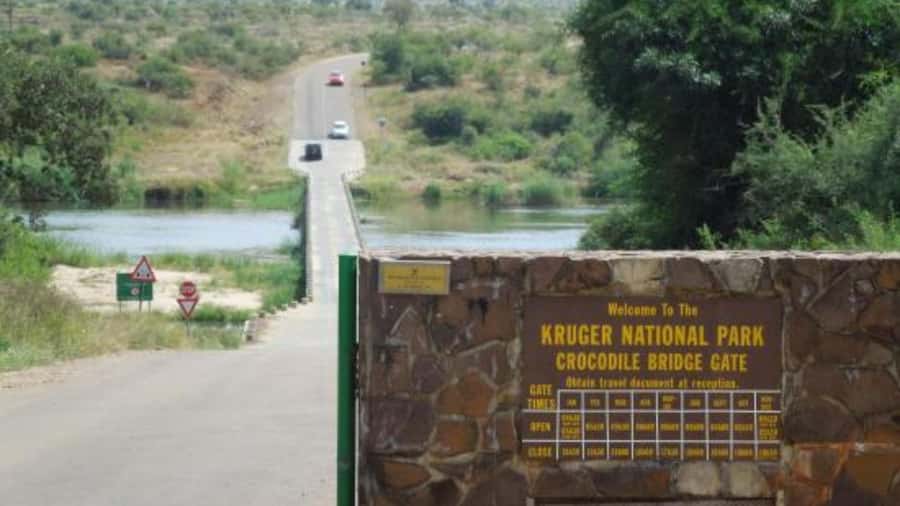 Marloth Park: Bush Braai Dinner & Game Drive in Kruger Park - Key points to know before booking
