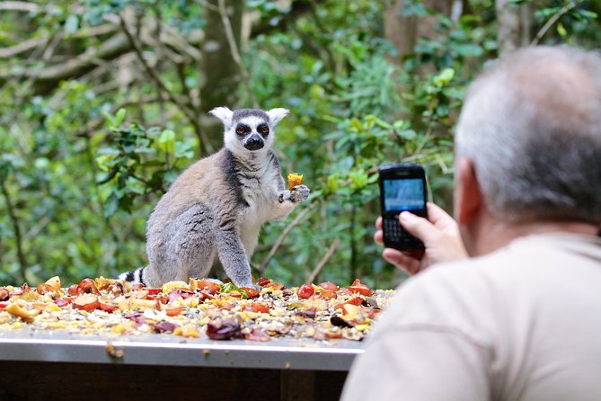 Monkeyland Guided Tour in Plettenberg Bay - What Monkeyland is trying to do