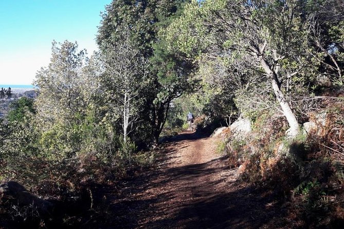 Mountain Biking Table Mountain to Constantia Morning Ride - How hard is the four-hour route?