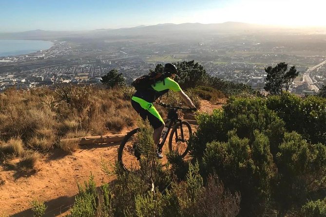 Mountain Biking Table Mountain to Constantia Morning Ride - From Table Mountain to Newlands forest