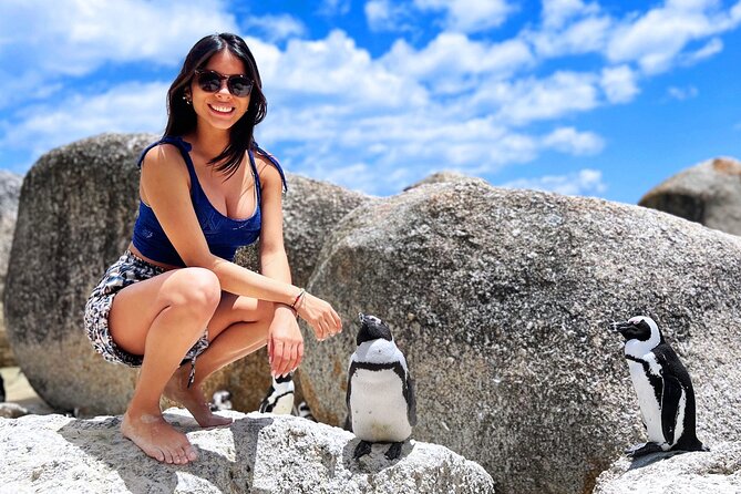 MUST DO: Boulders Beach & Cape Point Full Day Tour #1 Rated - From Cape Town to Hout Bay