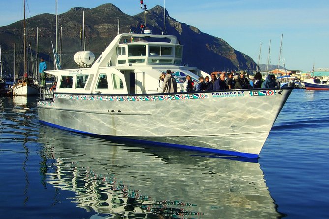 MUST DO: Boulders Beach & Cape Point Full Day Tour #1 Rated - Diaz Beach and the Cape of Good Hope