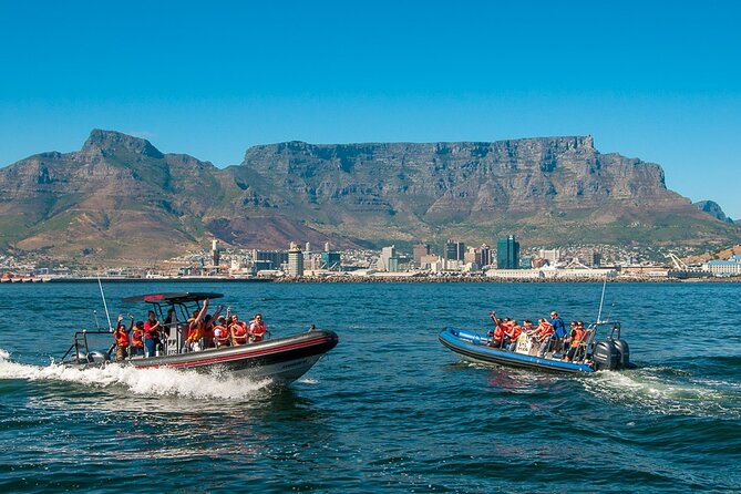 Ocean Safari - Who Will Enjoy This Most?
