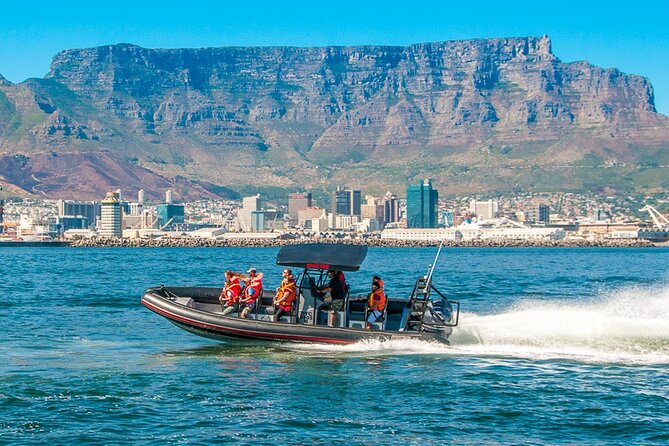 Ocean Safari - How This Compares With a Calm Cruise