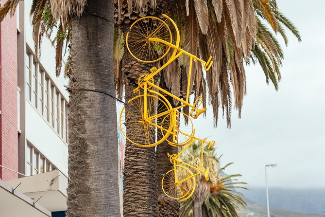 Off the Beaten Track in Cape Town: Private City Tour - Finishing at the Old Biscuit Mill