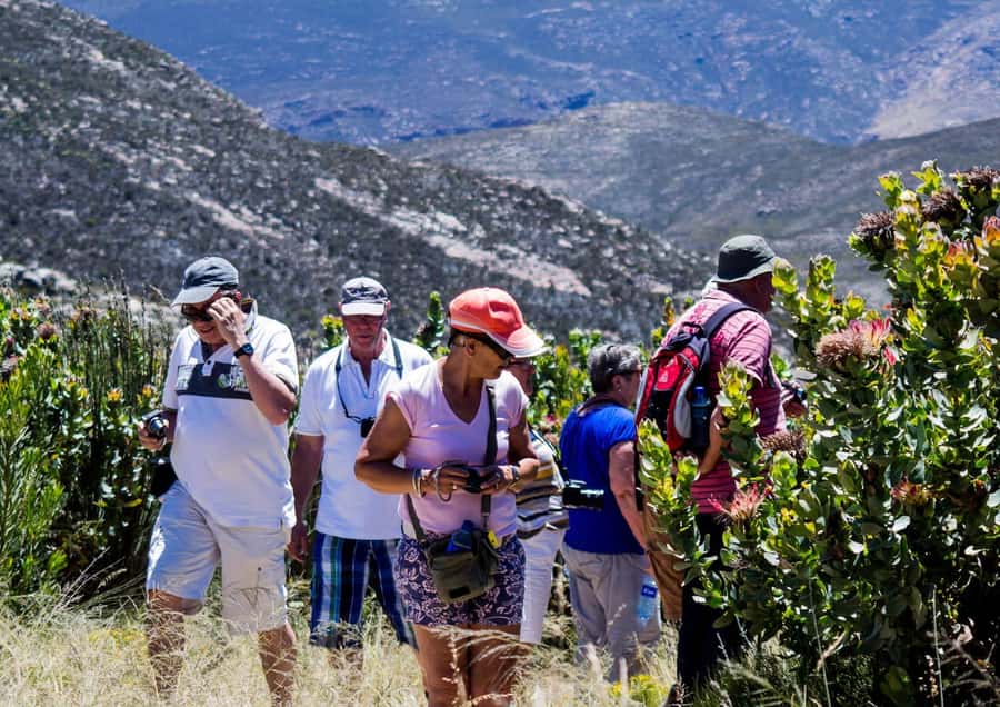 Oudtshoorn: Swartberg Mountain Pass Tour with Country Lunch - Why the 1881 pass still matters